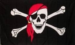 virus pirate flag,B 0 4284 3(1)