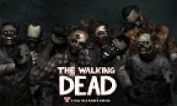 walking dead vignette