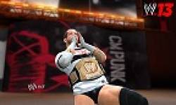 wwe 13 vginette 29 05 2012 (2)