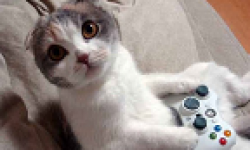 Xbox LIVE chat