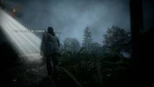 Alan-Wake-screenshot-capture-_31