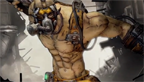 Borderlands-2_24-03-2013_head