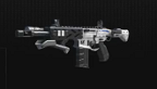 call of duty black ops II skin ghosts vignette