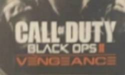Call of Duty black ops II vengeance dlc vignette