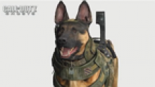 call of duty ghosts video comparation MW3 chien vignette