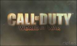 cod world at war
