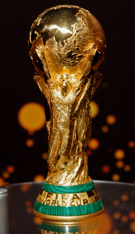 FIFA WORLD CUP 2010_4