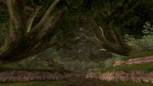 Final Fantasy XI Screenshot (22)