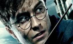 head vignette harry potter pour kinect