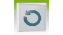 icone-succes-f1-2012-001