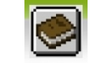 icone-succes-minecraft-020
