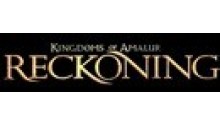 jaquette : Kingdoms of Amalur : Reckoning