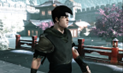 Kung Fu Superstar vignette 23 05 2012