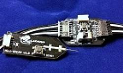 Maximus Lizard vignette