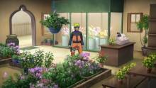 Naruto Shippuden Ultimate Ninja Storm 2 screenshots in game PS3 Xbox 360 (10)