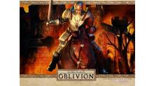 oblivion-ps3-1_090300024000036327