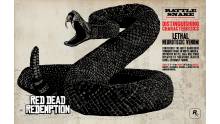 Red-Dead-Redemption_chasse-17