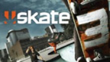 skate-3-jaquette-head_0090005200031390