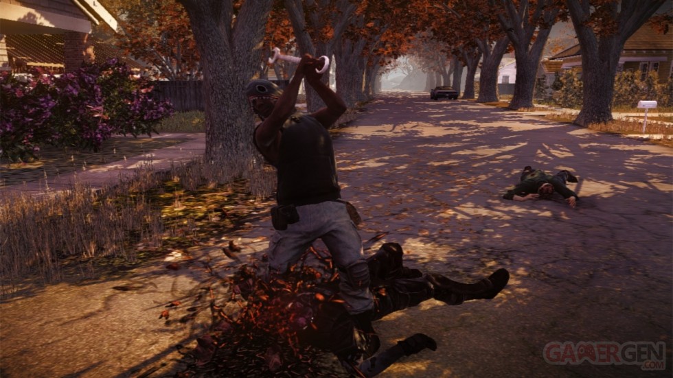 State of Decay- captures 11