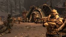 the-elder-scrolls-v-skyrim-dragonborn-screenshot-15-11-2012-009