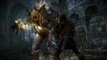 The Witcher 2 Assassins of Kings screenshot 27-01-2012 (4)
