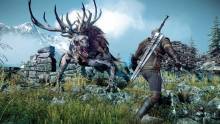 the-witcher-3-wild-hunt-image-001-06062013