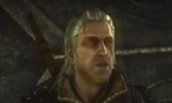 the witcher2 vignette