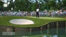Tiger Woods PGA Tour 13 (1)
