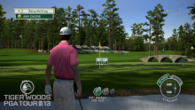 Tiger Woods PGA Tour 13 (8)