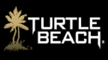 turtle beach vignette