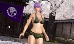 vignette head dead or alive 5