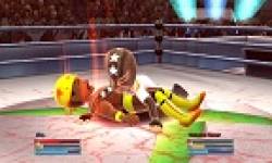 vignette head fire pro wrestling