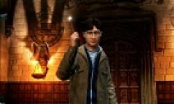 vignette head harry potter pour kinect