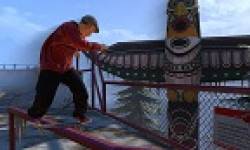 vignette head tony hawks pro skater hd dlc 1