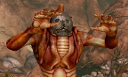 vignette head zeno clash ii 25042013