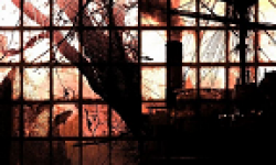 vignette head zwei 07 03 2013