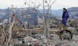 Vignette Icone Head Tsunami Japon Tremblement de terre 14032011