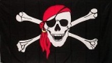 virus-pirate-flag,B-0-4284-3(1)